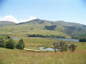 2000 m² Land available in Kamberg