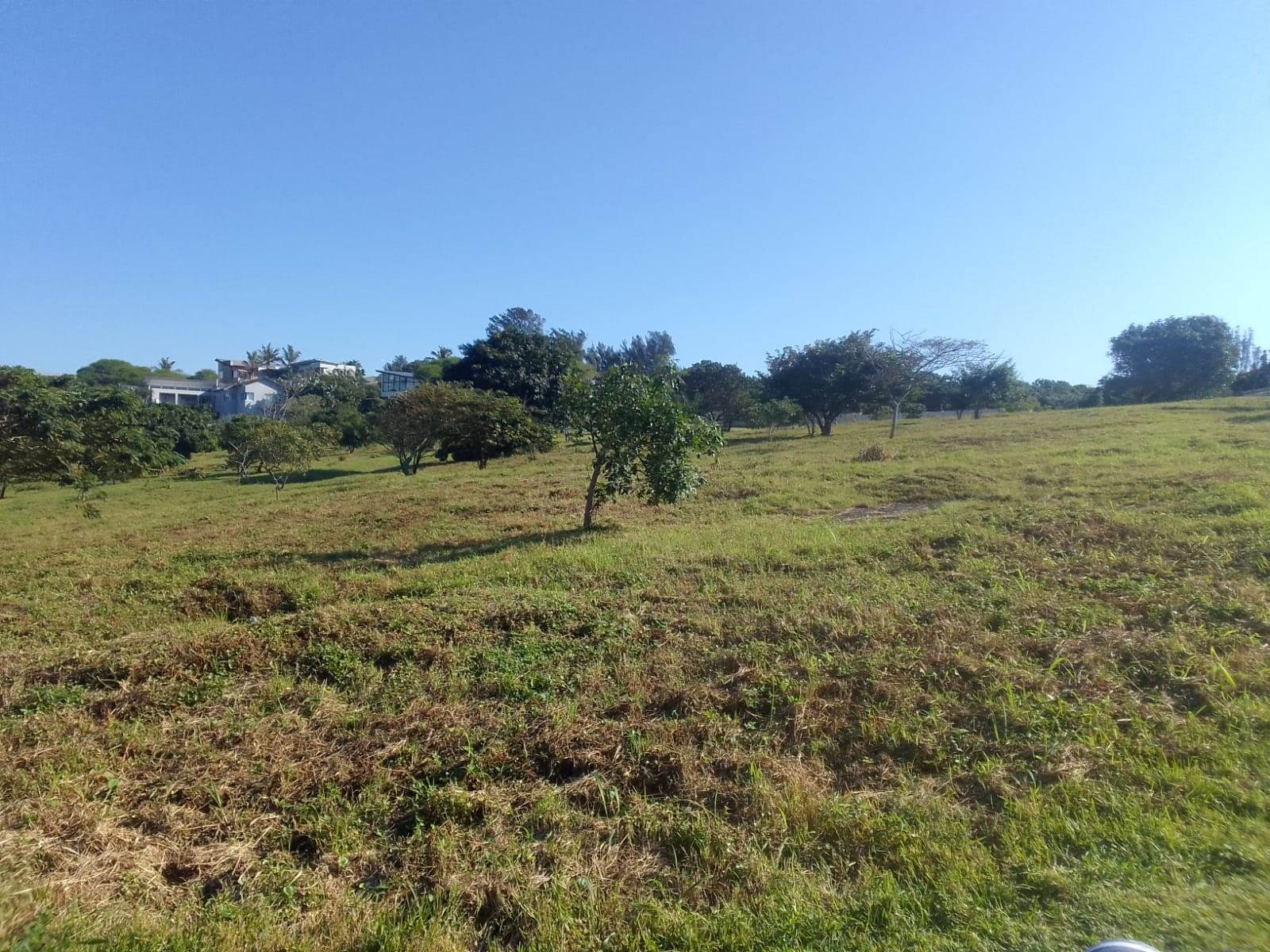 1164 m² Land available in Zinkwazi Beach photo number 2