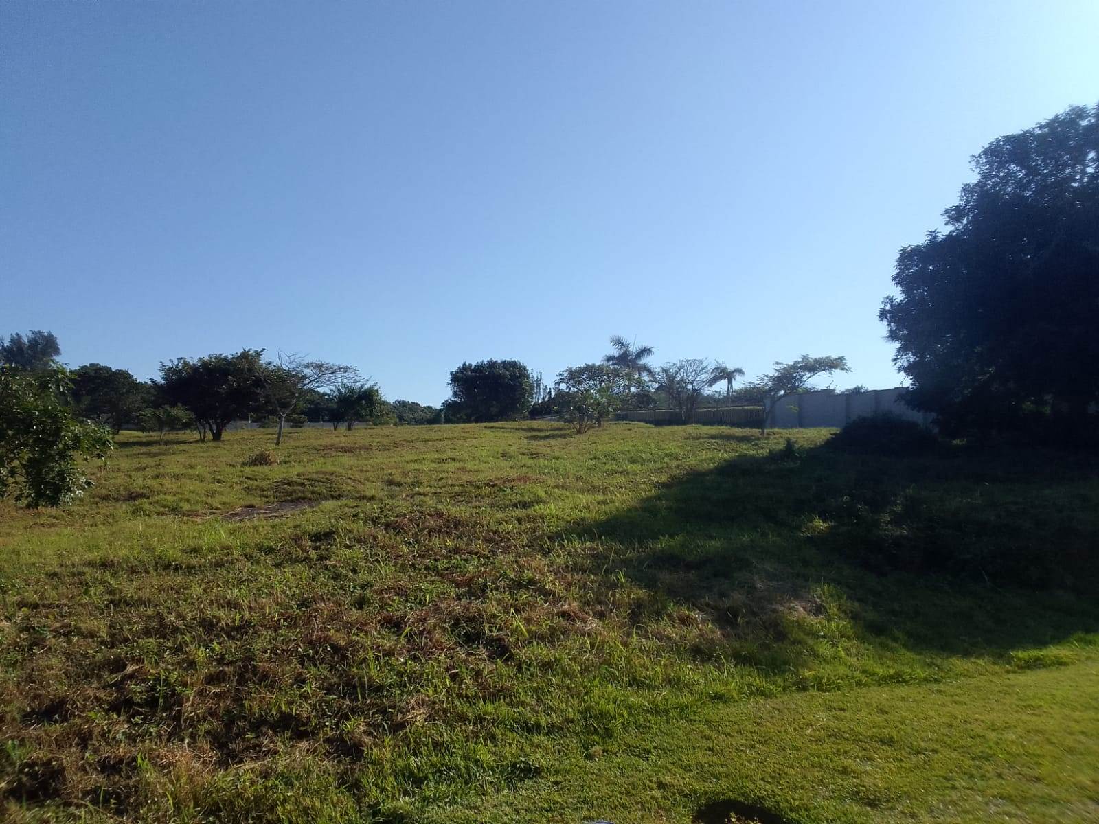 1164 m² Land available in Zinkwazi Beach photo number 4