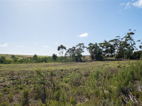 10.7 ha Land available in Napier