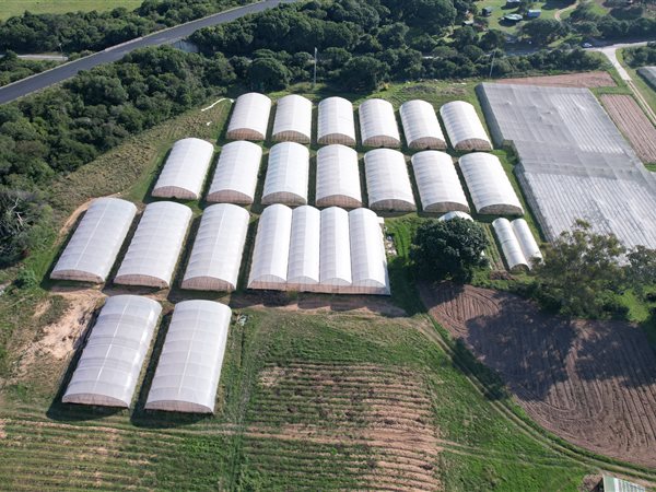 49 ha Farm