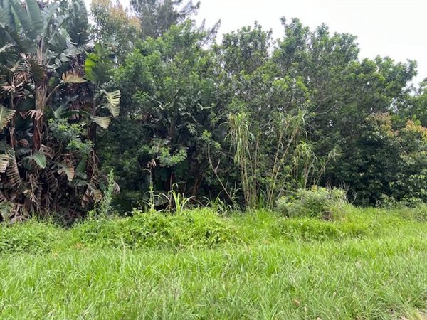 1341 m² Land available in Margate