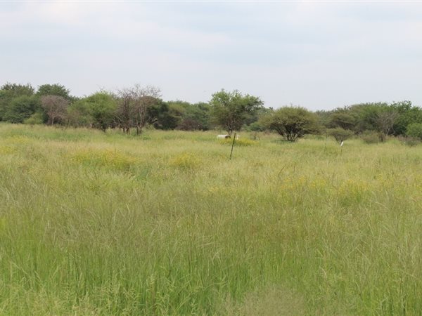 449 m² Land available in Northam