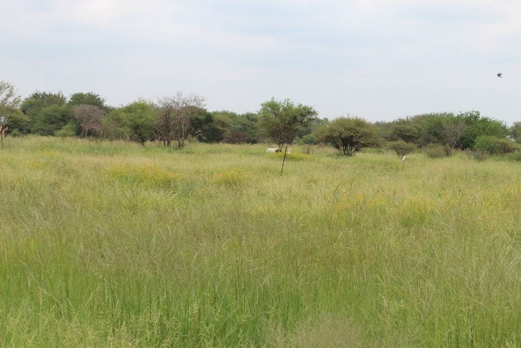 449 m² Land available in Northam photo number 1