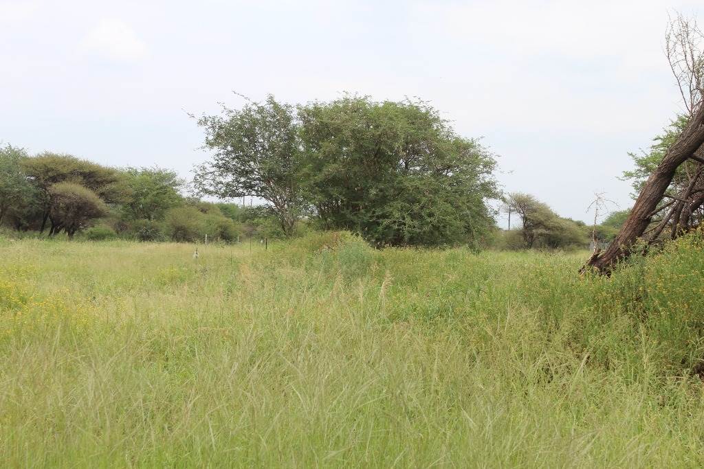 449 m² Land available in Northam photo number 3