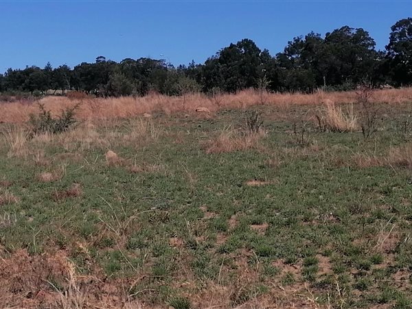 1067 m² Land available in Fochville
