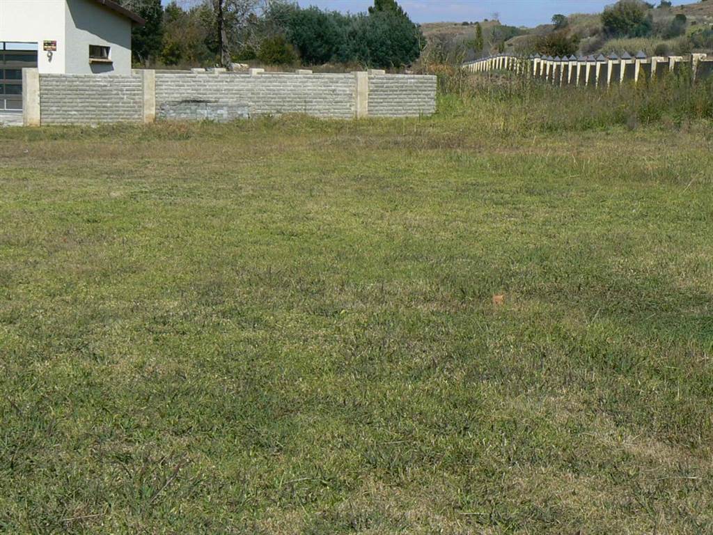 509 m² Land available in Eureka photo number 2