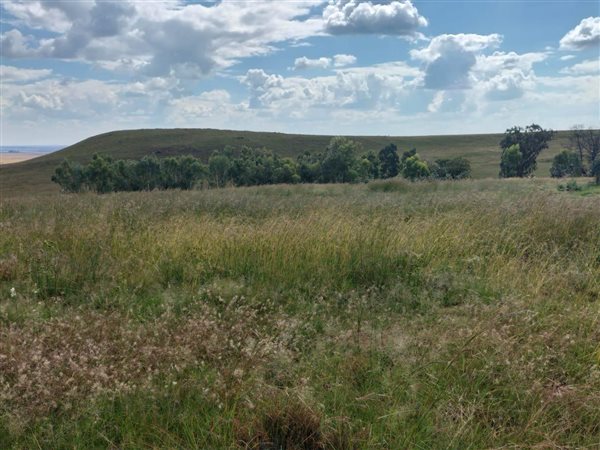 168 ha Farm 168 ha Farm