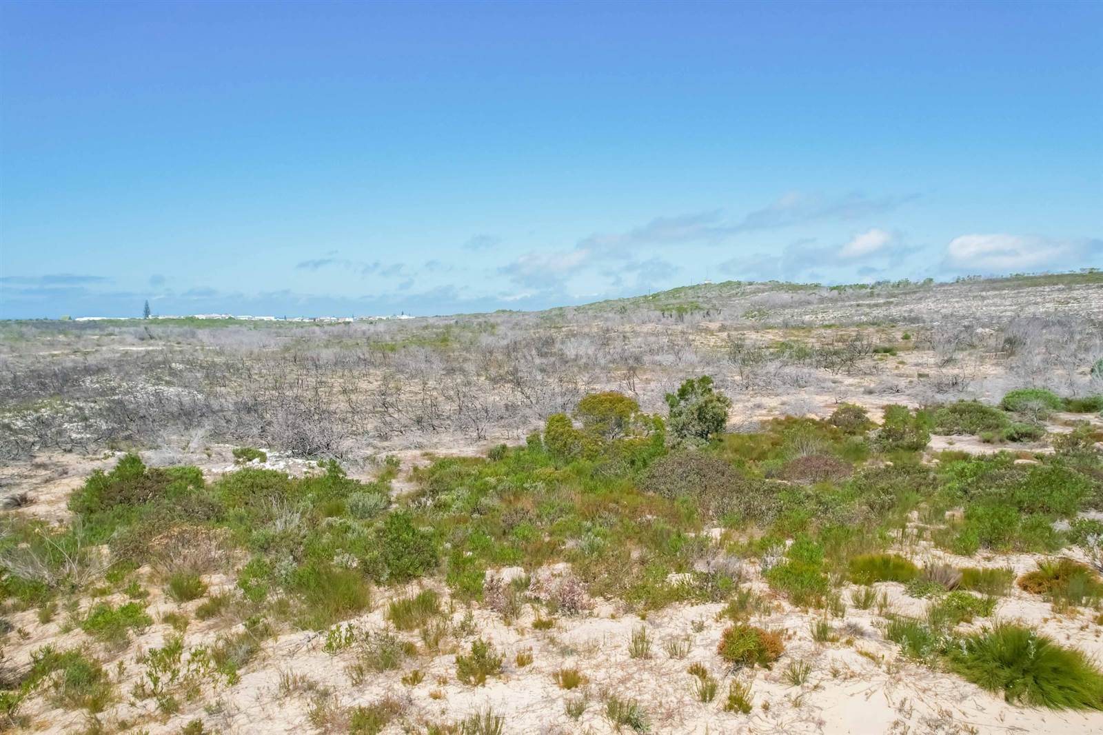 987 m² Land available in Struisbaai photo number 6