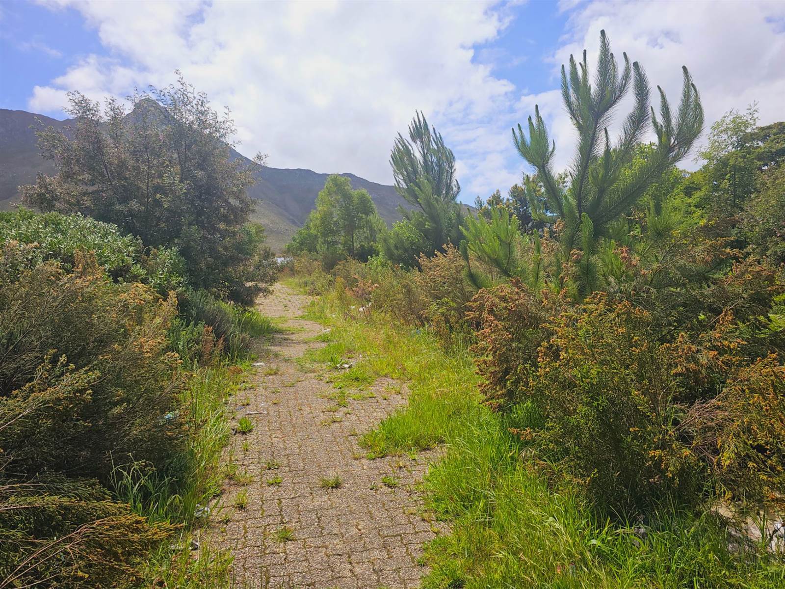 4461 m² Land available in Kleinmond photo number 7