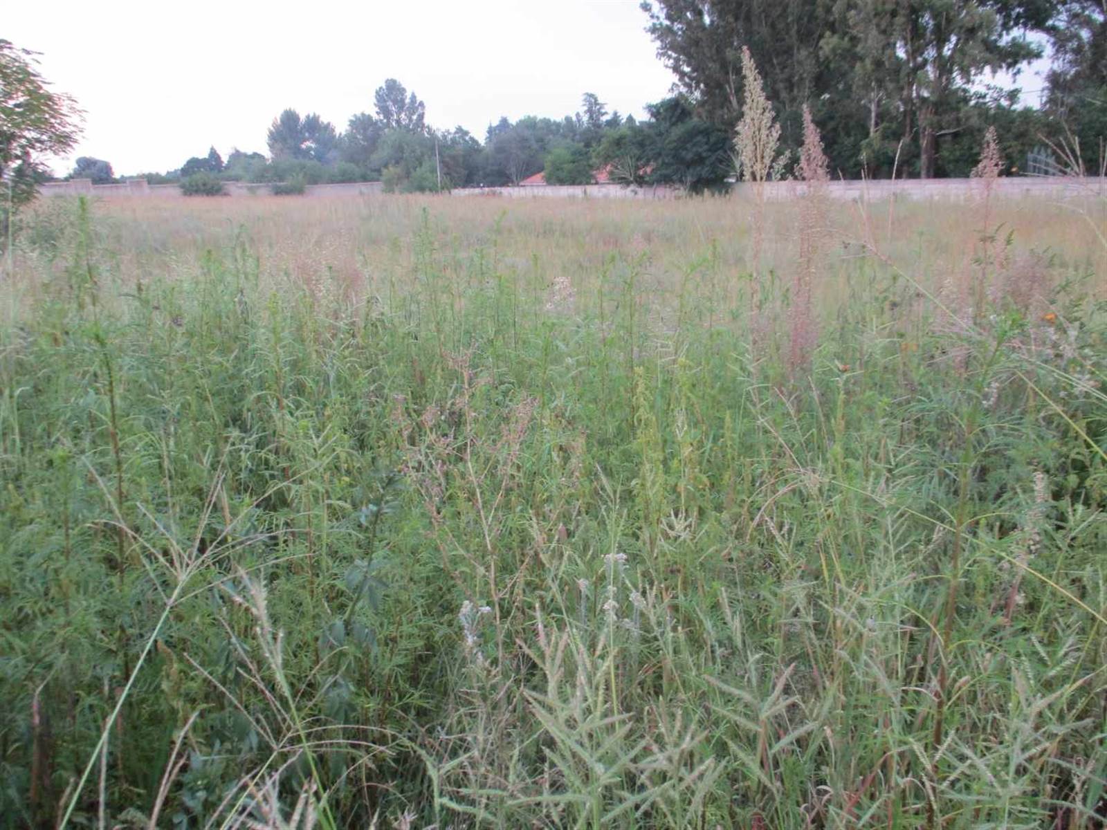 2000 m² Land available in Henley on Klip photo number 2