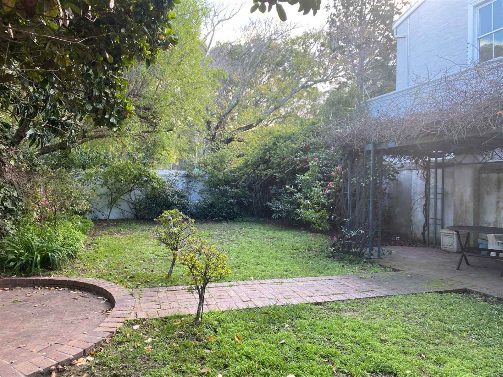 223 m² Land available in Wynberg photo number 7