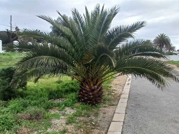 305 m² Land