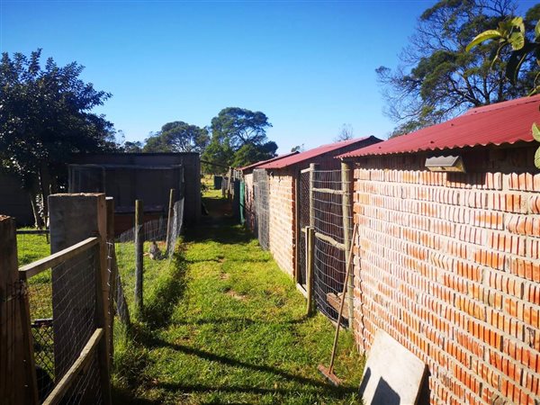 4 Bedroom House 4 Bedroom House
