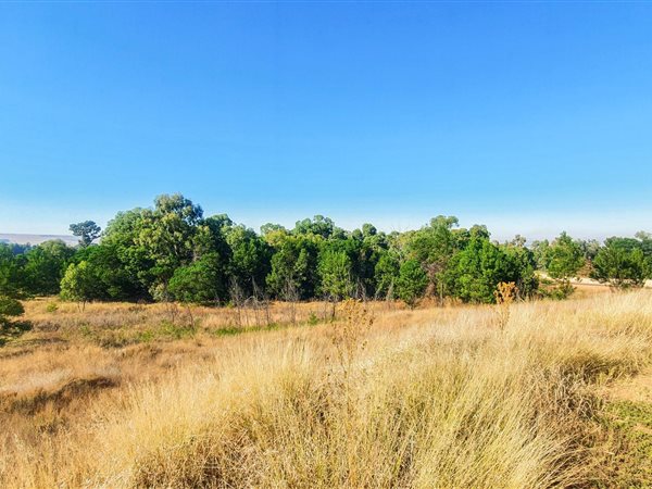 1.3 ha Land