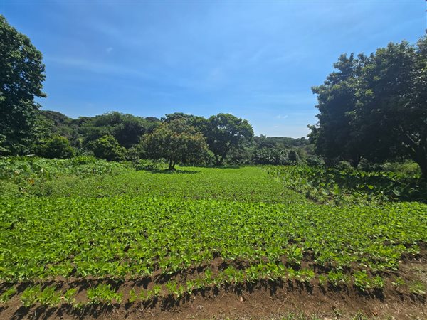 2 153 m² Land 2 153 m² Land