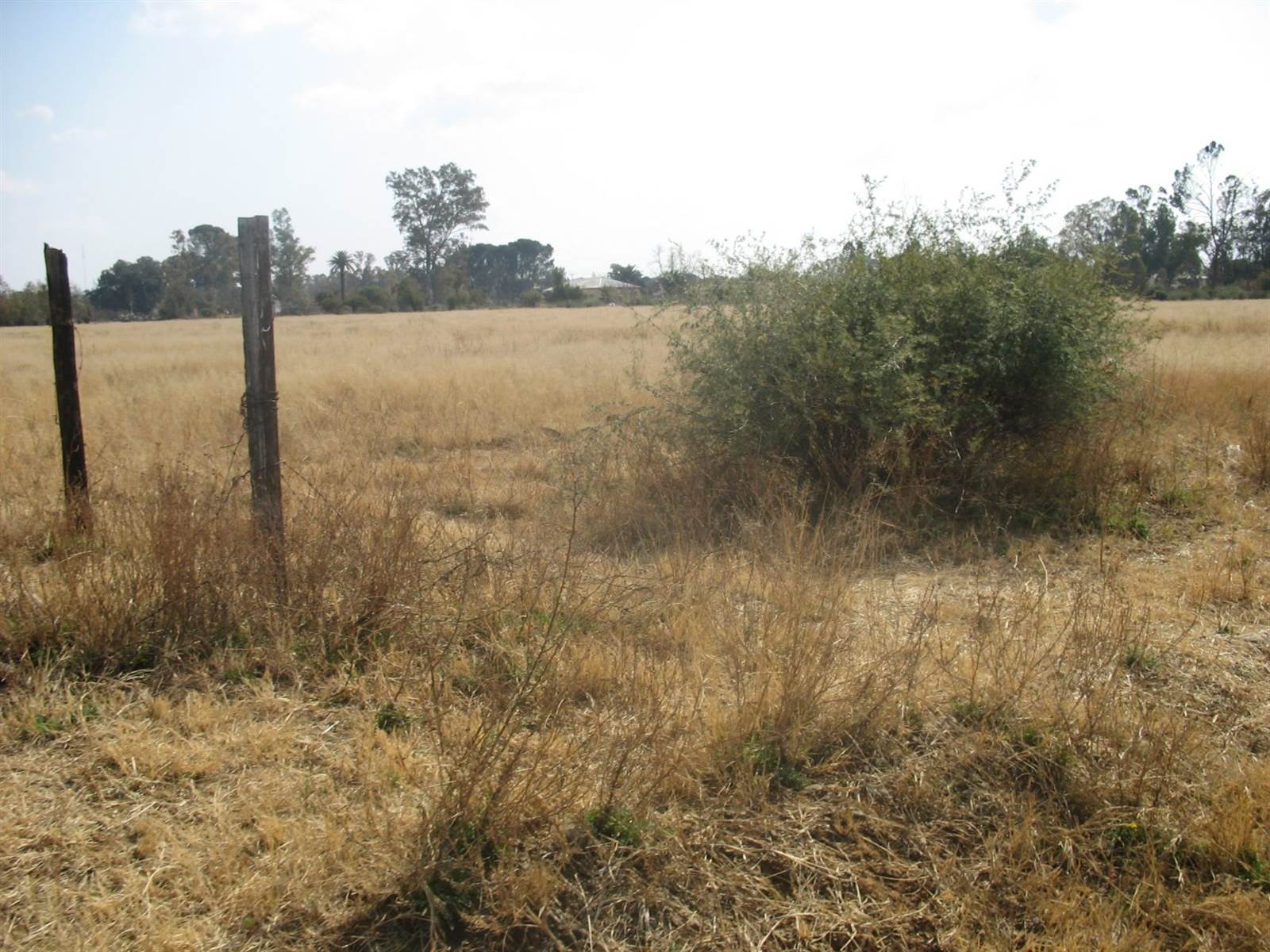 1 ha Land available in Martindale photo number 3