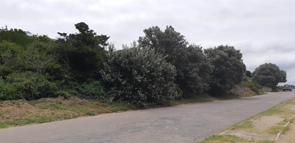 902 m² Land available in Kenton-on-Sea photo number 3