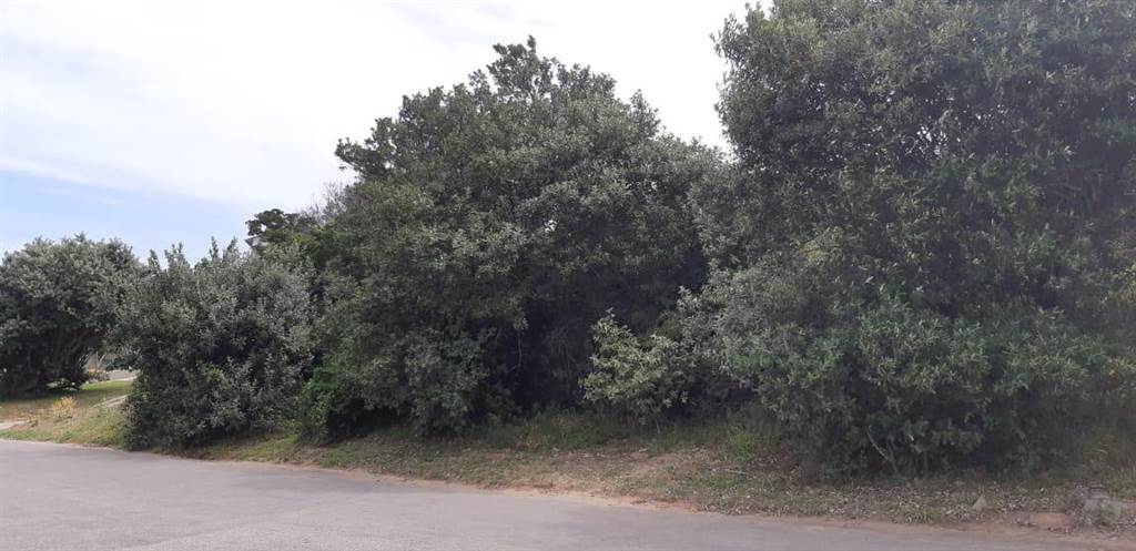 902 m² Land available in Kenton-on-Sea photo number 8