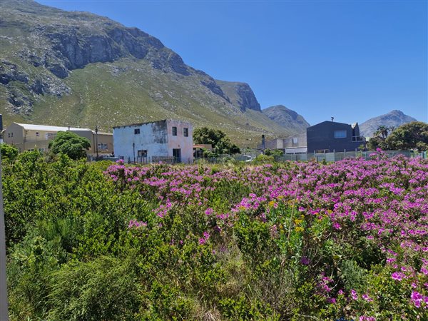 932 m² Land