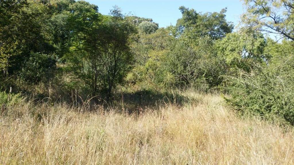 1180 m² Land available in Broederstroom photo number 4