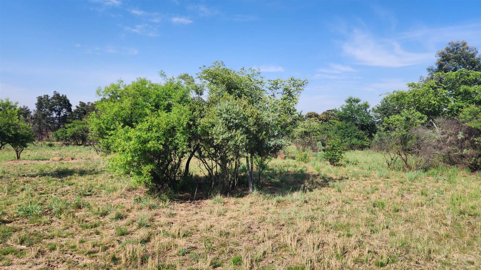1 ha Land available in Kleinfontein photo number 6