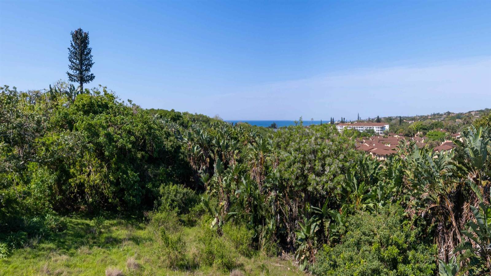 527 m² Land available in Shelly Beach photo number 1