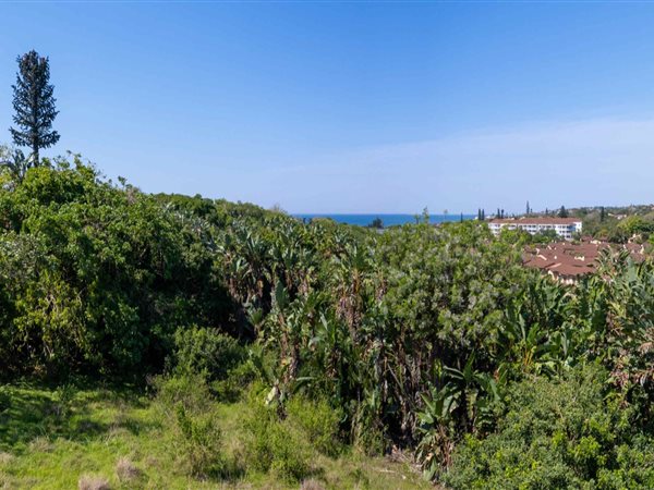 527 m² Land available in Shelly Beach