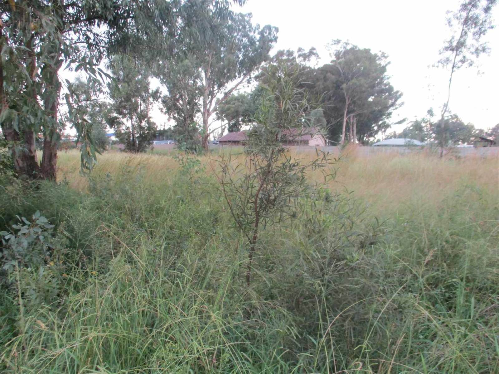 4064 m² Land available in Highbury photo number 7