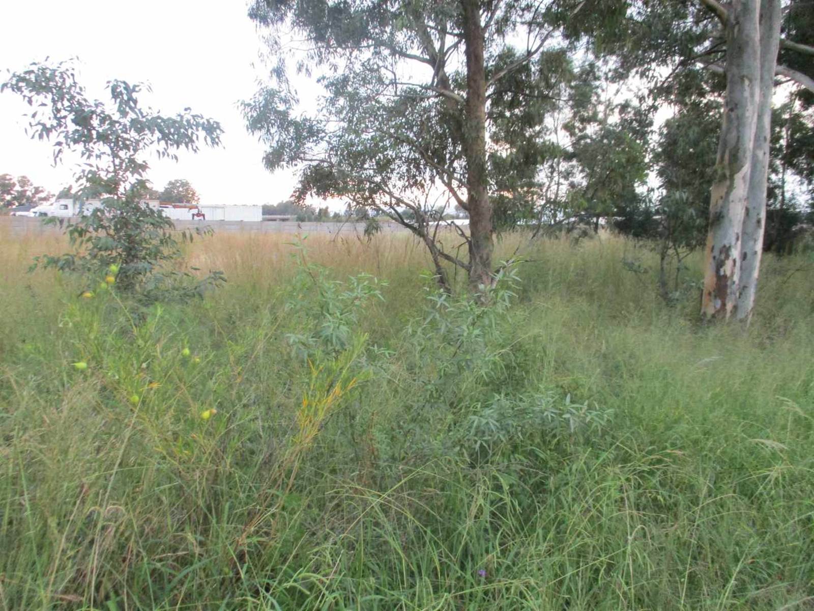 4064 m² Land available in Highbury photo number 5