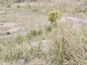 627 m² Land available in Klaarwater