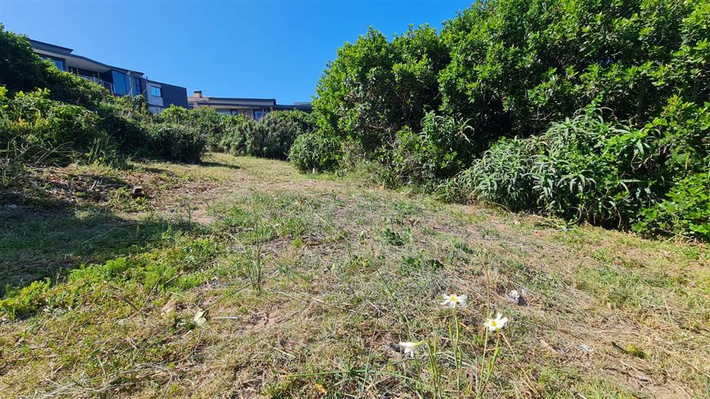 687 m² Land available in Reebok photo number 2
