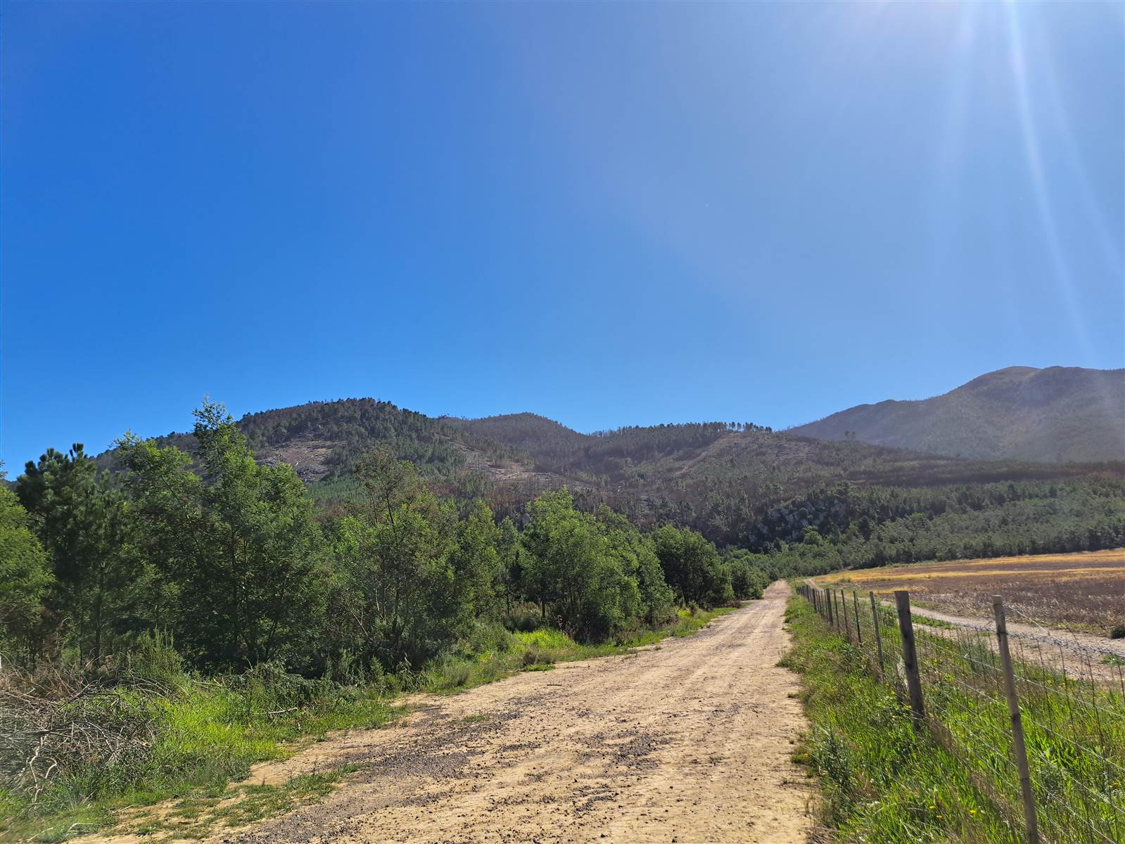 1502 m² Land available in Caledon photo number 8
