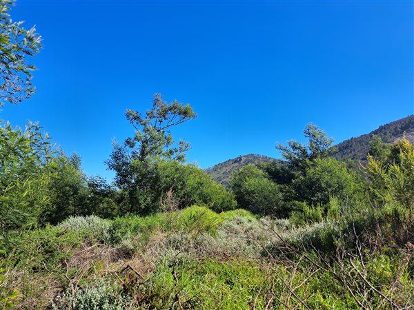 1502 m² Land available in Caledon