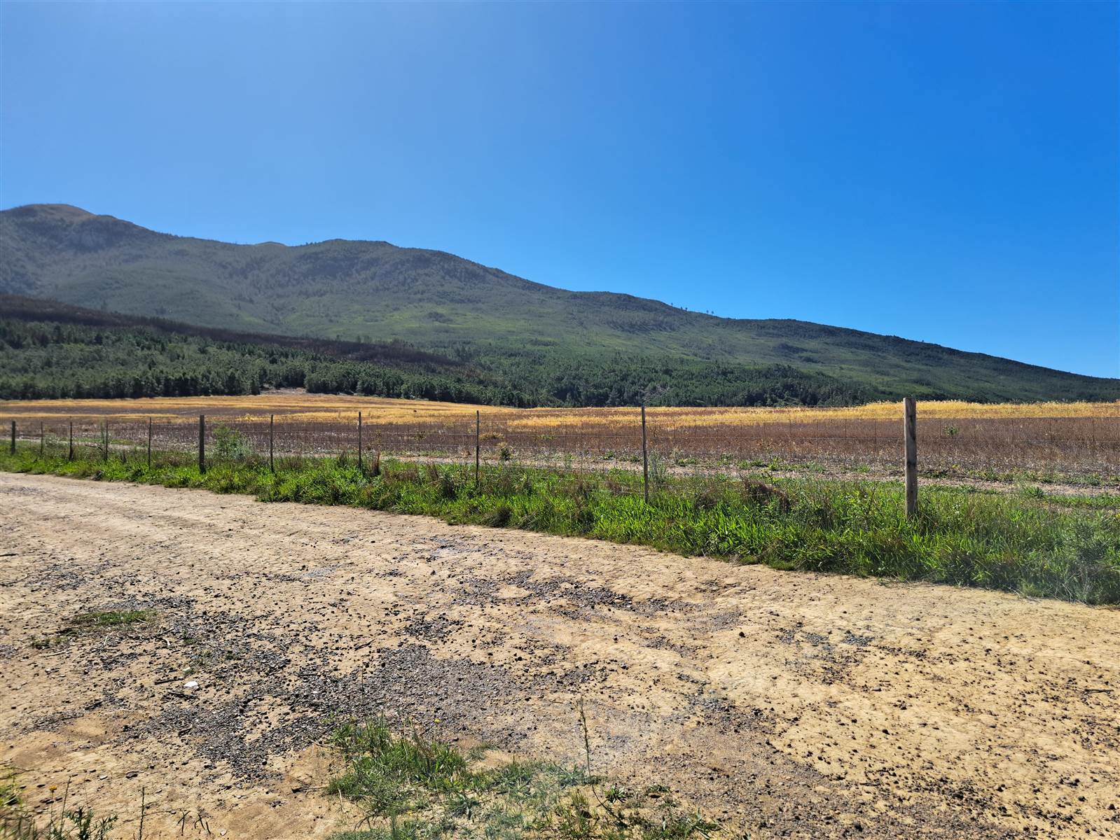 1502 m² Land available in Caledon photo number 9