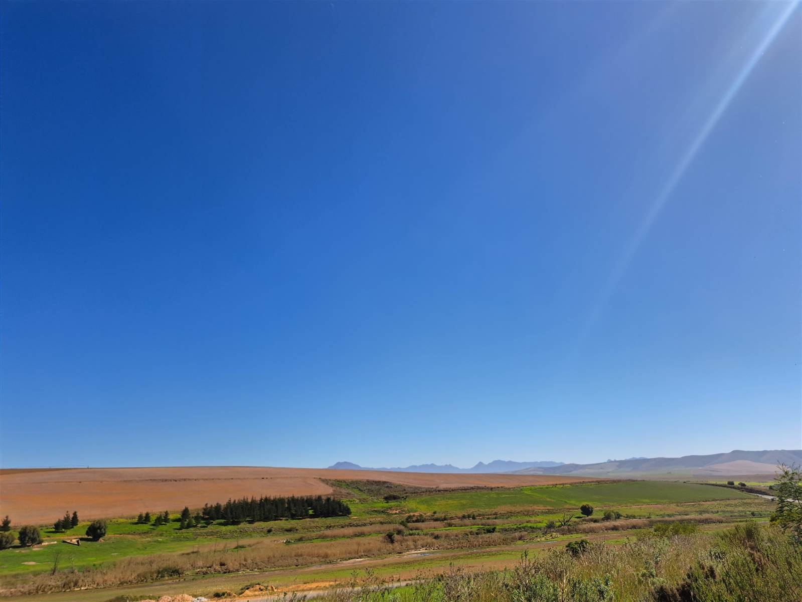 1502 m² Land available in Caledon photo number 10