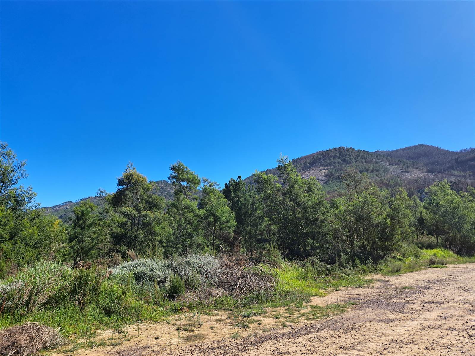 1502 m² Land available in Caledon photo number 7