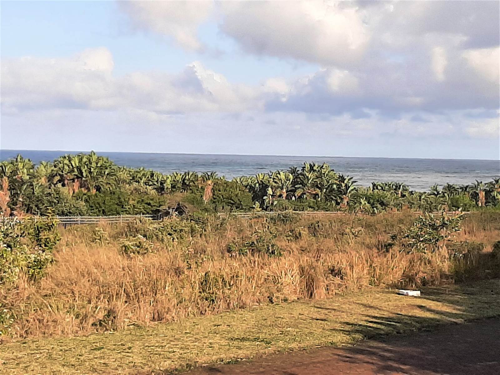 2011 m² Land available in Port Edward photo number 4