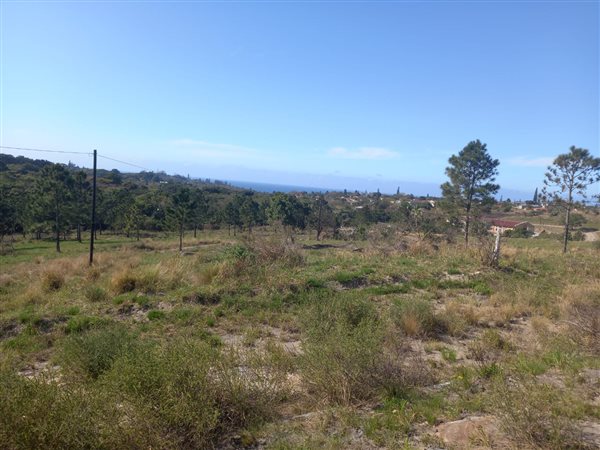 1 017 m² Land