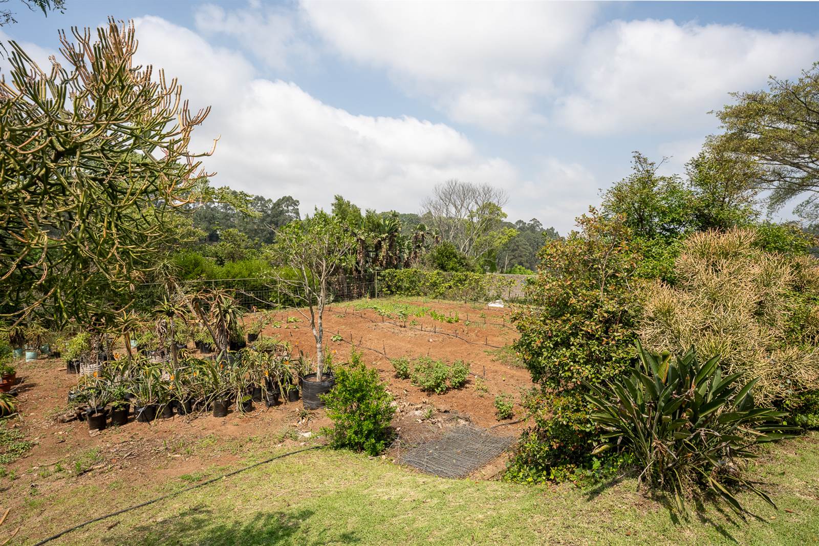 3794 m² Land available in Kloof photo number 8
