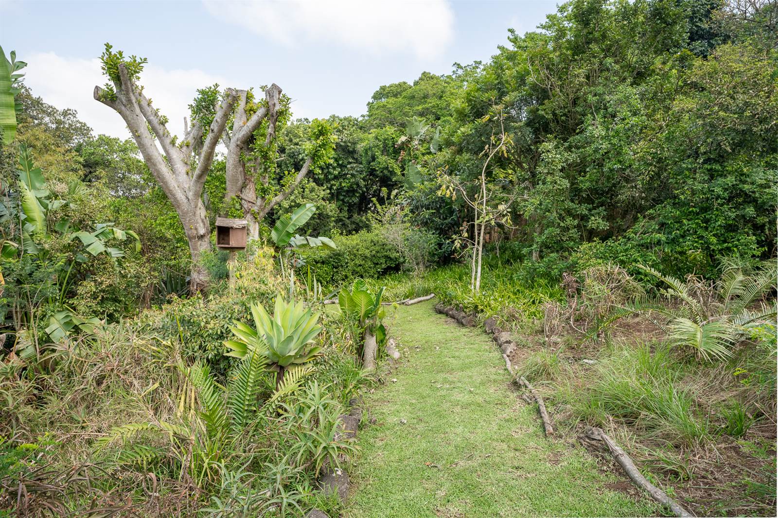 3794 m² Land available in Kloof photo number 2