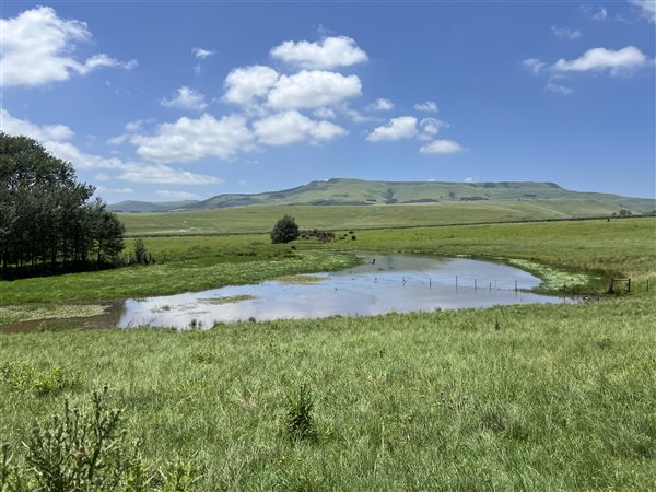 480 ha Farm