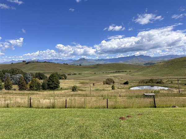 4.8 ha Smallholding