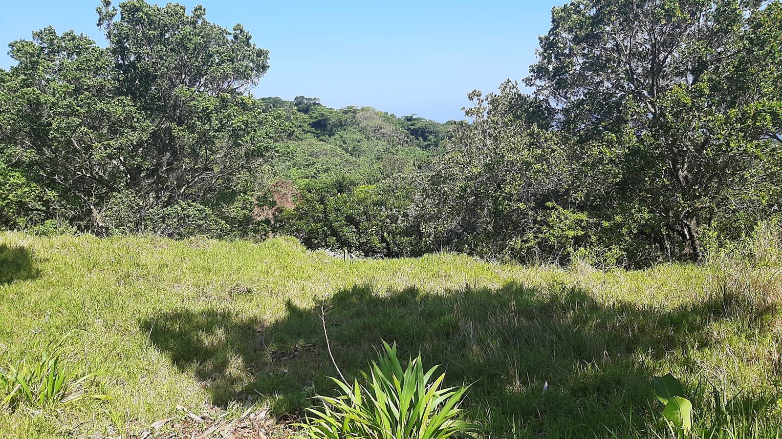 2120 m² Land available in Hibberdene photo number 5