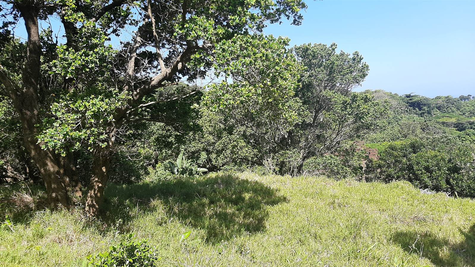 2120 m² Land available in Hibberdene photo number 3