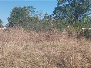 1012 m² Land available in Rose Park
