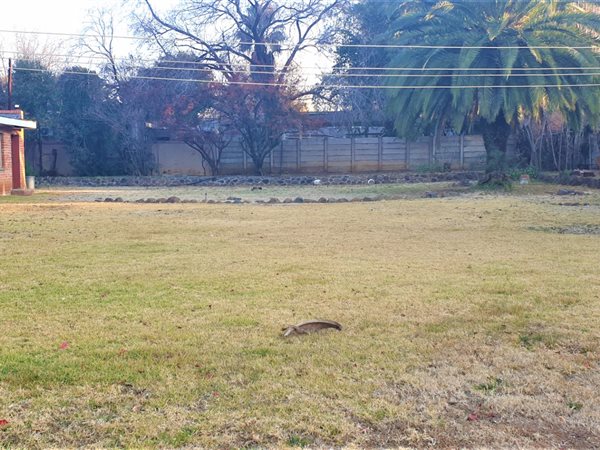 1320 m² Land available in Waverley