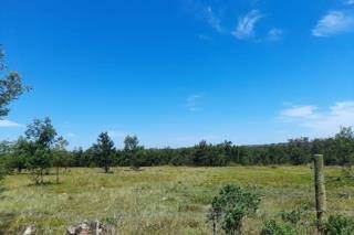 48 ha Land available in Coastal Suburbs photo number 8