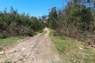 48 ha Land available in Coastal Suburbs photo number 2
