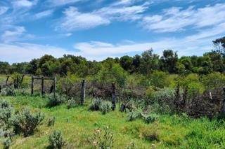 48 ha Land available in Coastal Suburbs photo number 5